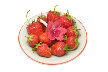 Strawberries and a flower on a saucer, isolated on white