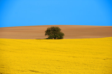 Rural scenic landscape