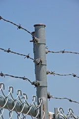 Barbed Wire