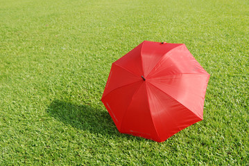 Colorful umbrellas on the football field 