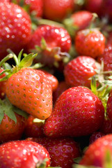 Fraises rouges en exterieur, macro