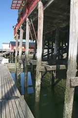 Dock house poles