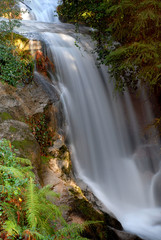Obraz premium river waterfall in the portuguese national park
