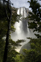 Angel Falls. Canaima National Park, Venezuela.