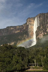 Angel Falls. Canaima National Park