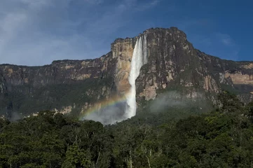 Foto op Canvas Angel Falls. Canaima National Park, Venezuela. © Jacek Warsaw PL