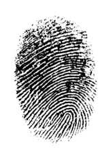 Highly detailed vector fingerprint