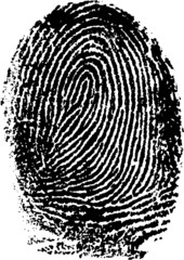 Vector Thumbprint - very detailed