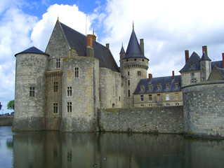 Fototapeta na wymiar chateau de sully-sur-loire 3