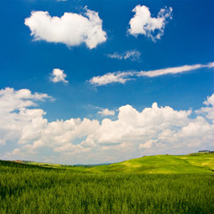 Landscape : Green field, blue sky. Tuscany, Italy