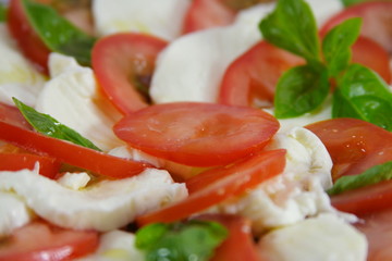 Tomate Mozzarella