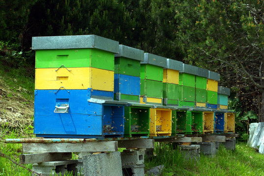 Beehives