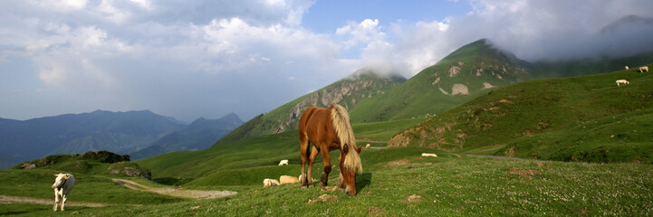 panorama des pyr&eacute;n&eacute;es