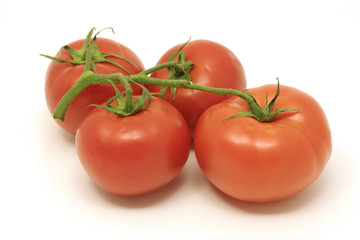 Vine red tomatoes isolated on white