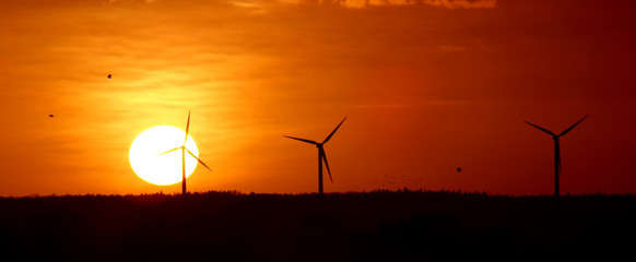 Wind energy and sunset