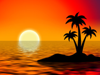 tree palms on island in ocean over the red sky