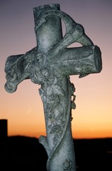 cross 6