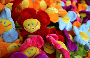 colourful sunflower and her friends
