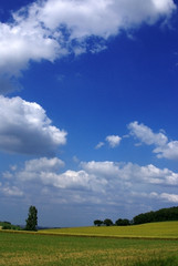 ciel d'été