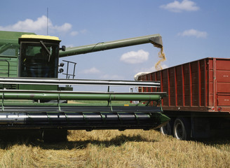 Combine is unloading wheat into a haul truck.