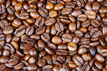 Coffee beans background (focus in the first plane)