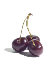 Three cherries together on a white background