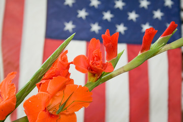 Grasshopper, Flower and American Flag