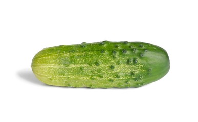Cucumber