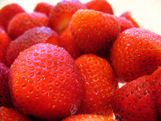 Fresh Strawberries