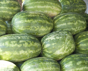 watermelons