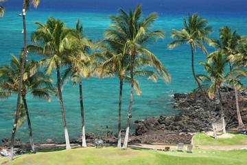 Hawaii Kona Beach