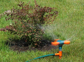 Moving streams sprayer watering of green grass lawn 2