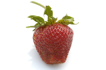 fresh strawberry