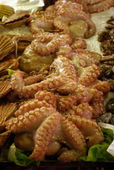 Octopus to eat