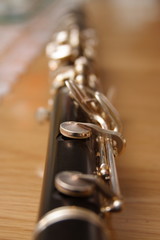 Obraz premium Clarinette