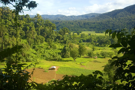 A view from the rain forest of Palanan, Isabela, Philippines