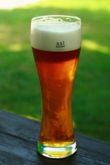 :  a glass of lager beer   