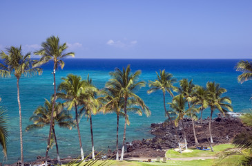 Azure Hawaiian Snorkeling Beach on Kona Island