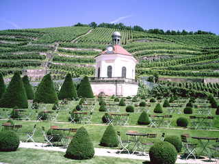 Schloss Wackerbarth