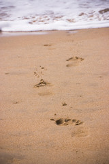 traces de pas