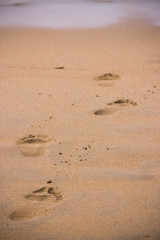 traces de pas