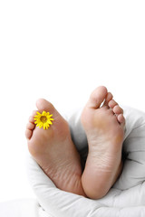 Feet in bed with flower and copyspace
