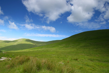 Green hills