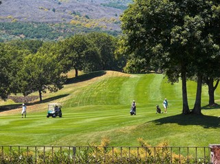 golf cart paesaggio