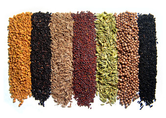 Indian spices. 8 pcs. Isolated on white. © diter