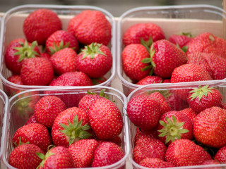 strawberries