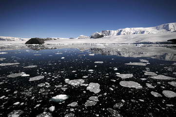 Antarctic coast