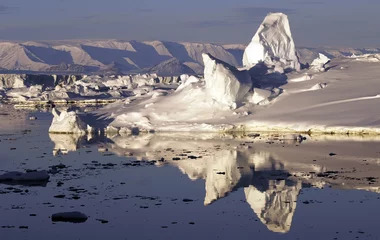 Wandaufkleber Reflecting icescape © staphy
