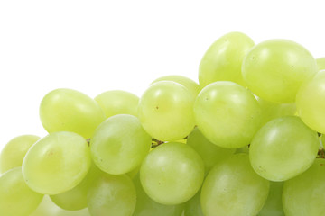 Fototapeta na wymiar bunch of fresh green grapes isolated on white