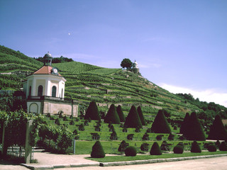 Schloss Wackerbarth